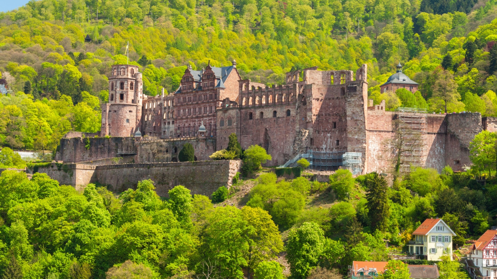 Heidelberg Castle: Become Part of History in Germany's Iconic Castle