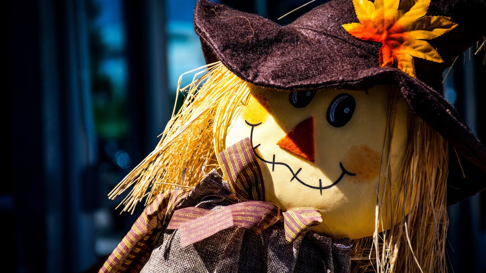 A cute scarecrow to represent cheap fall activities.
