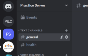 Screenshot of a Discord Server without a profile photo. The server is named "Practice Server" and labeled "PS"