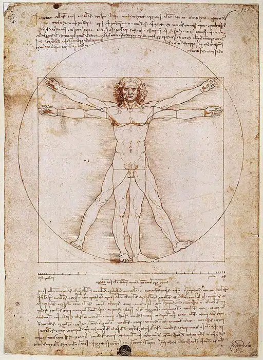 Da Vinci's sketch of Vitruvian Man. 