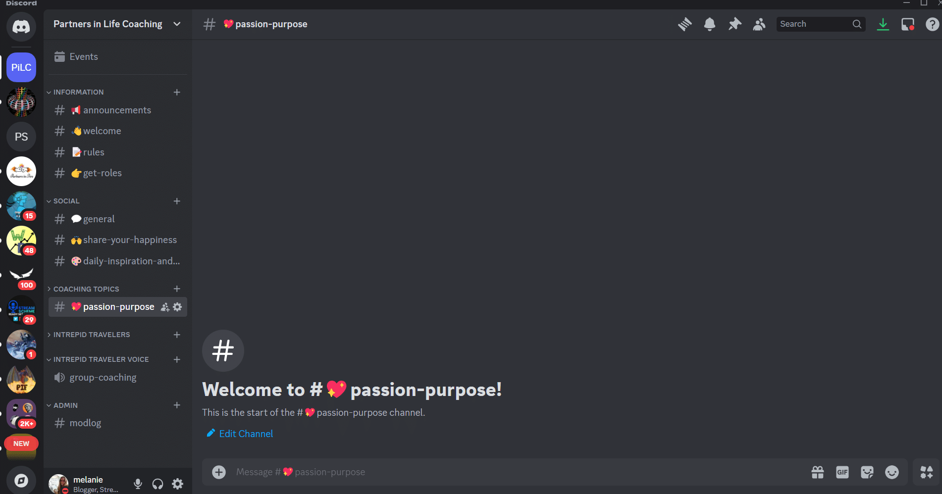 Screenshot showing the layout of Discord servers. 