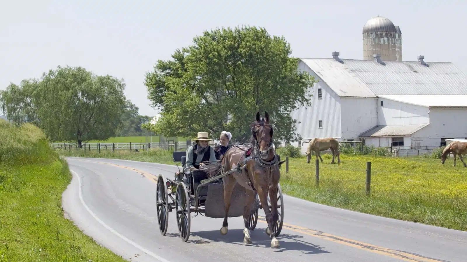 Amish horse and carriage driving past barn in Lancaster County, Pennsylvania
