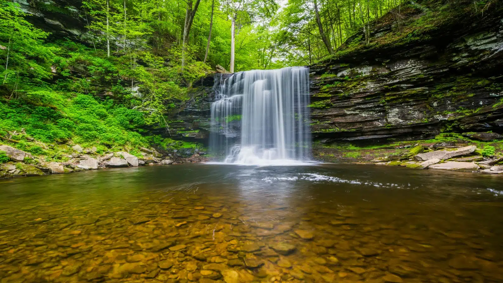 A waterfall trickling into a serene pool at Ricketts Glenn State Park in Pennsylvania. 
