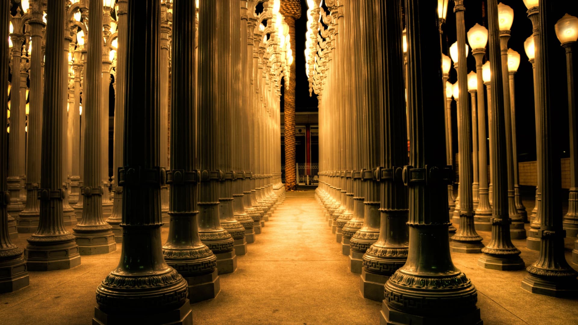 Lights from the Urban Light exhibit outside of LACMA in Los Angeles, CA