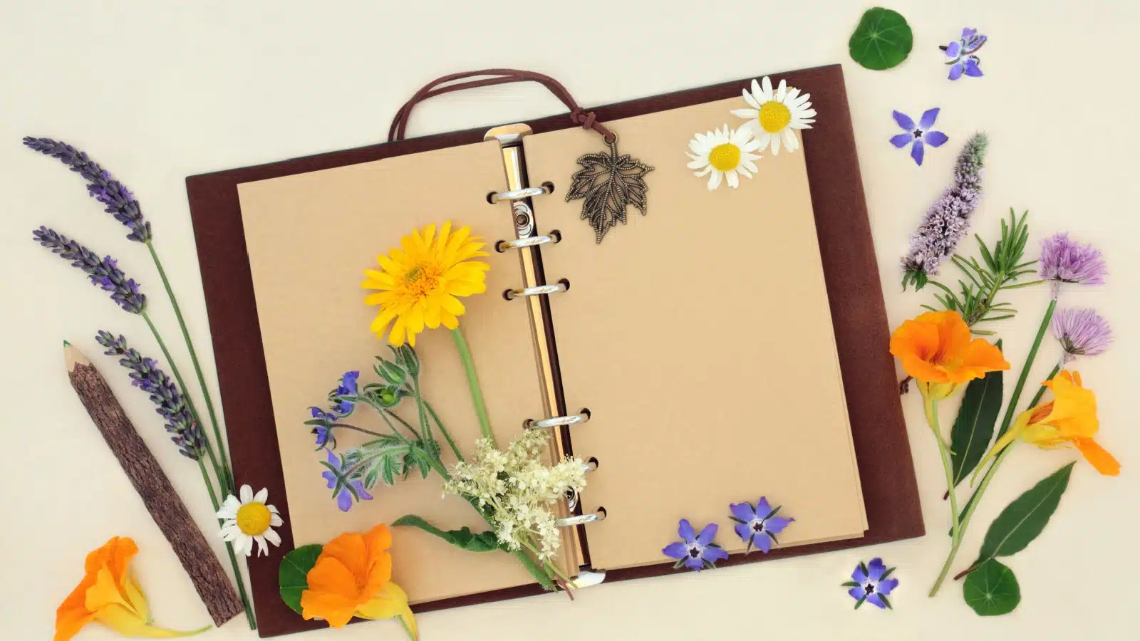 Blank journal pages covered with flowers.