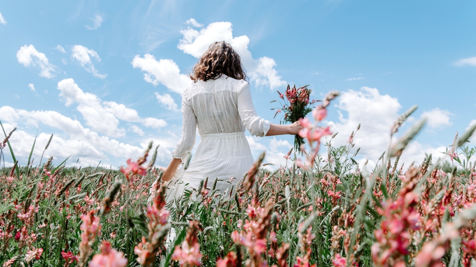 A woman picking wild flowers in a prairie to represent things to do in Illinois.