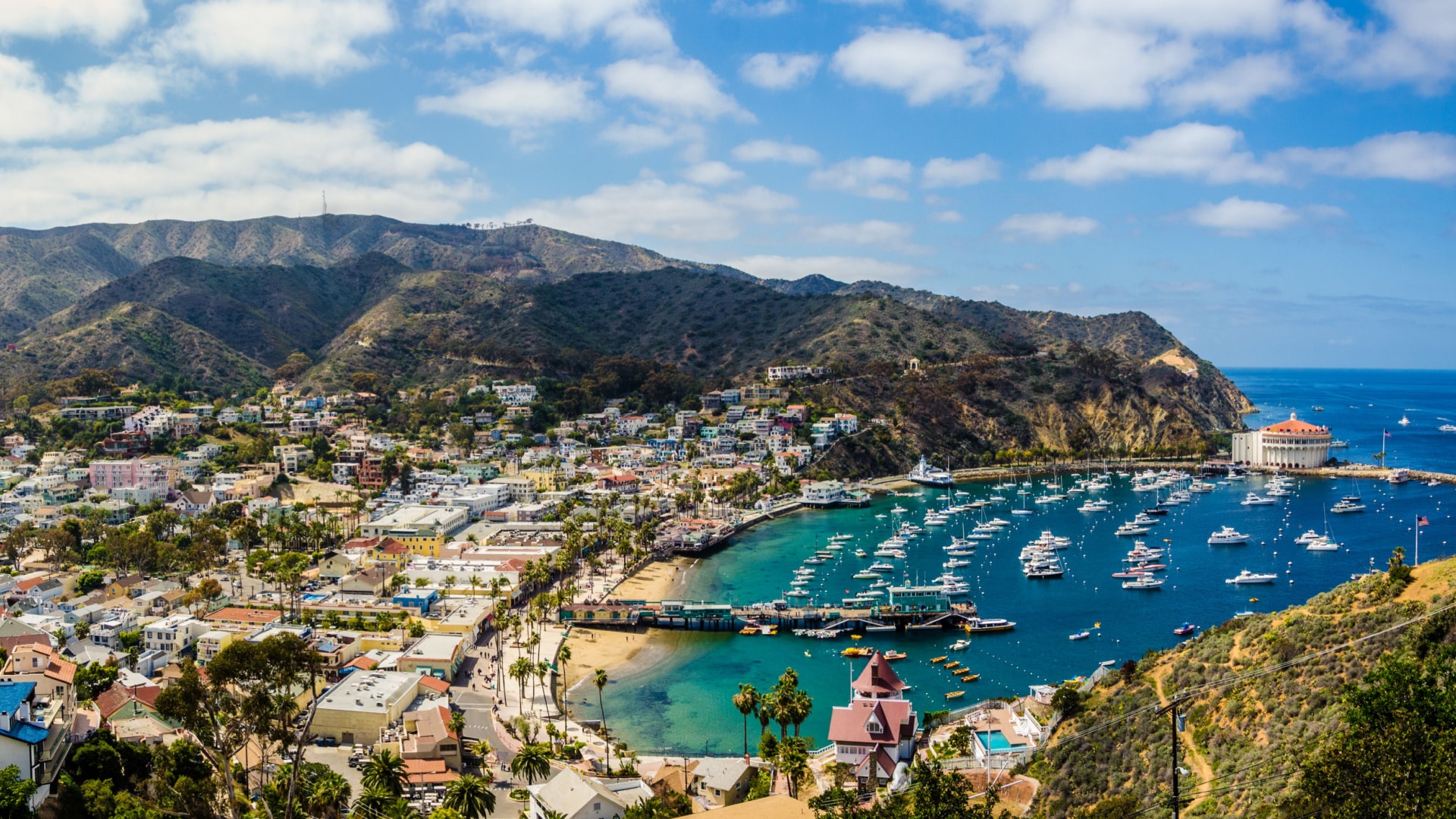 aerial view of Catalina Island