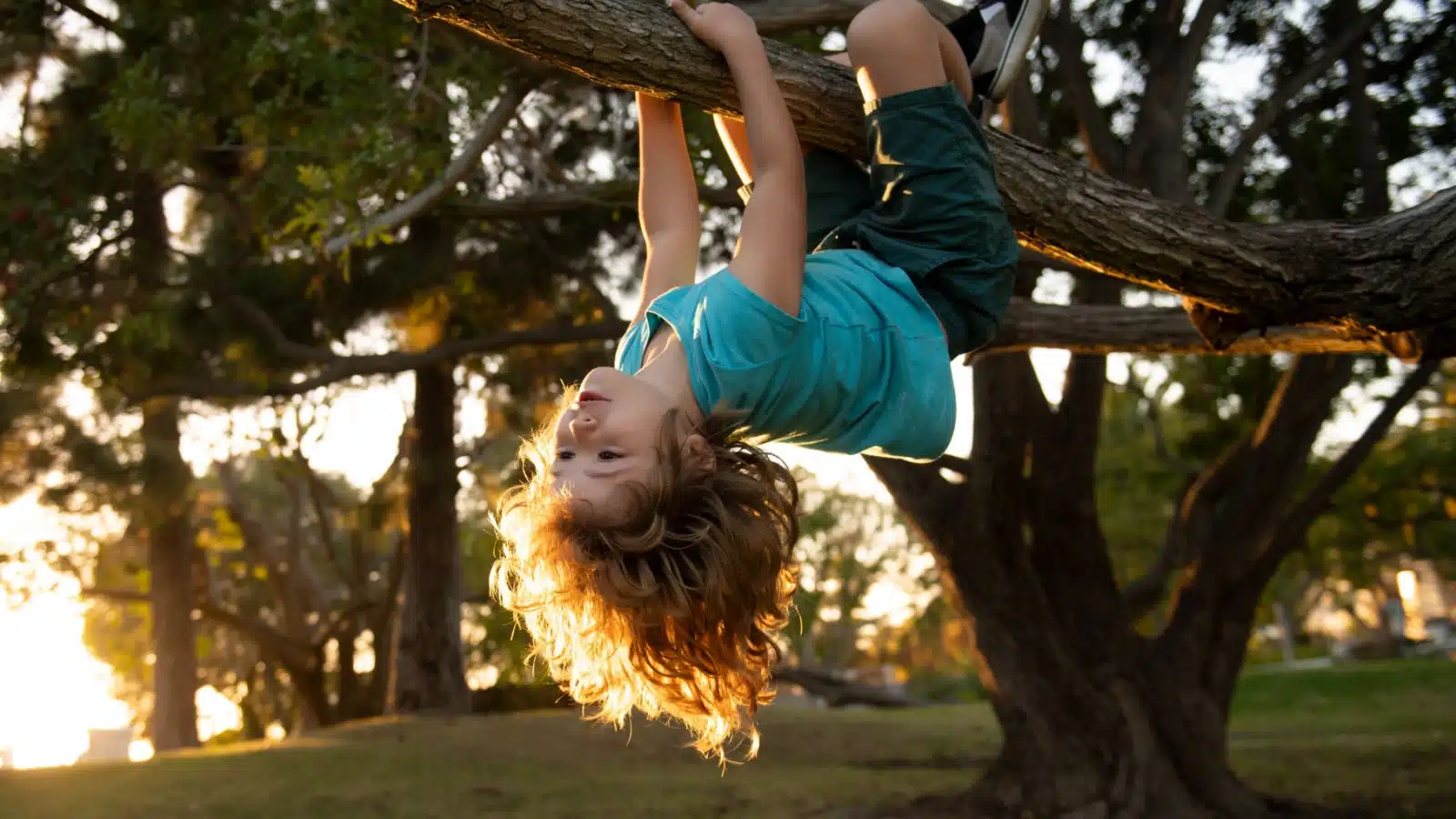 A little kid hangs upside down from a tree branch.