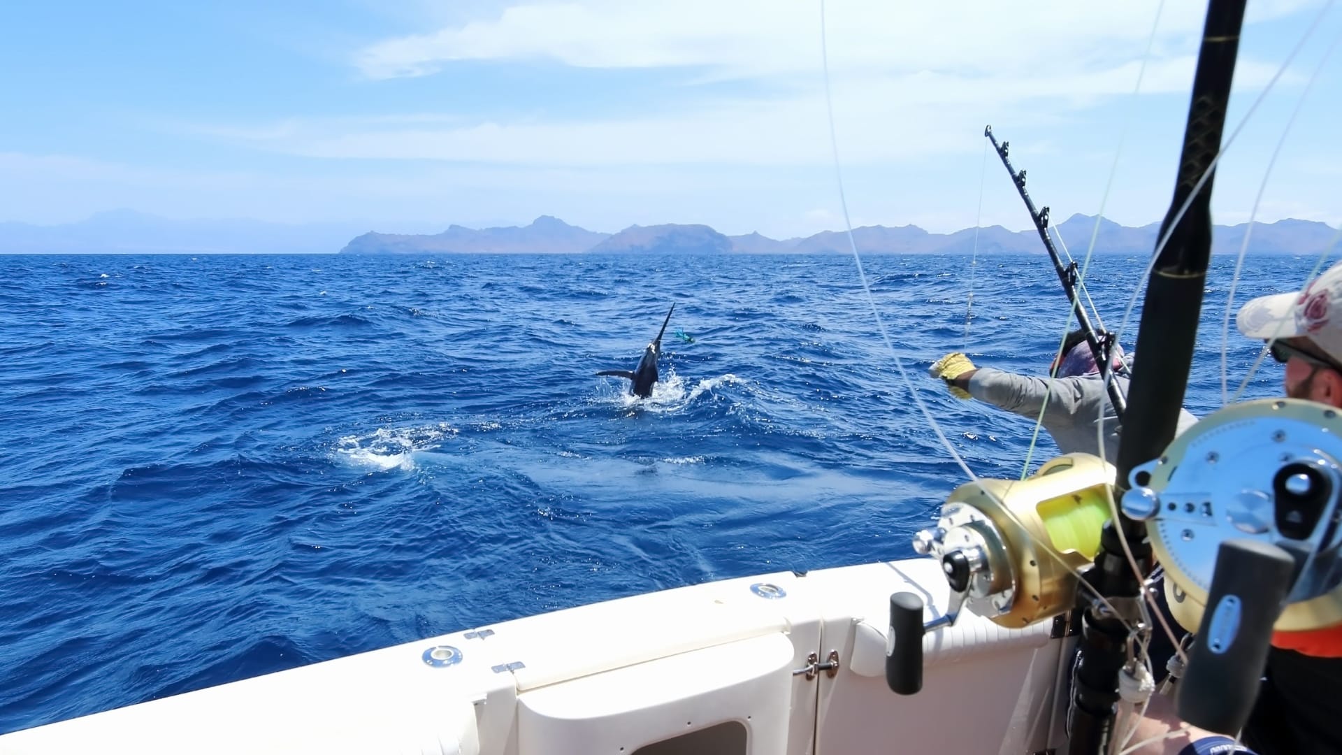 men catching a Marlin on a deep sea fishing trip