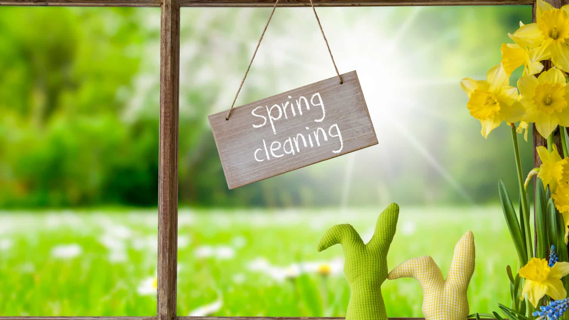 picture of a spring cleaning side in front of a window showcasing spring greenery.