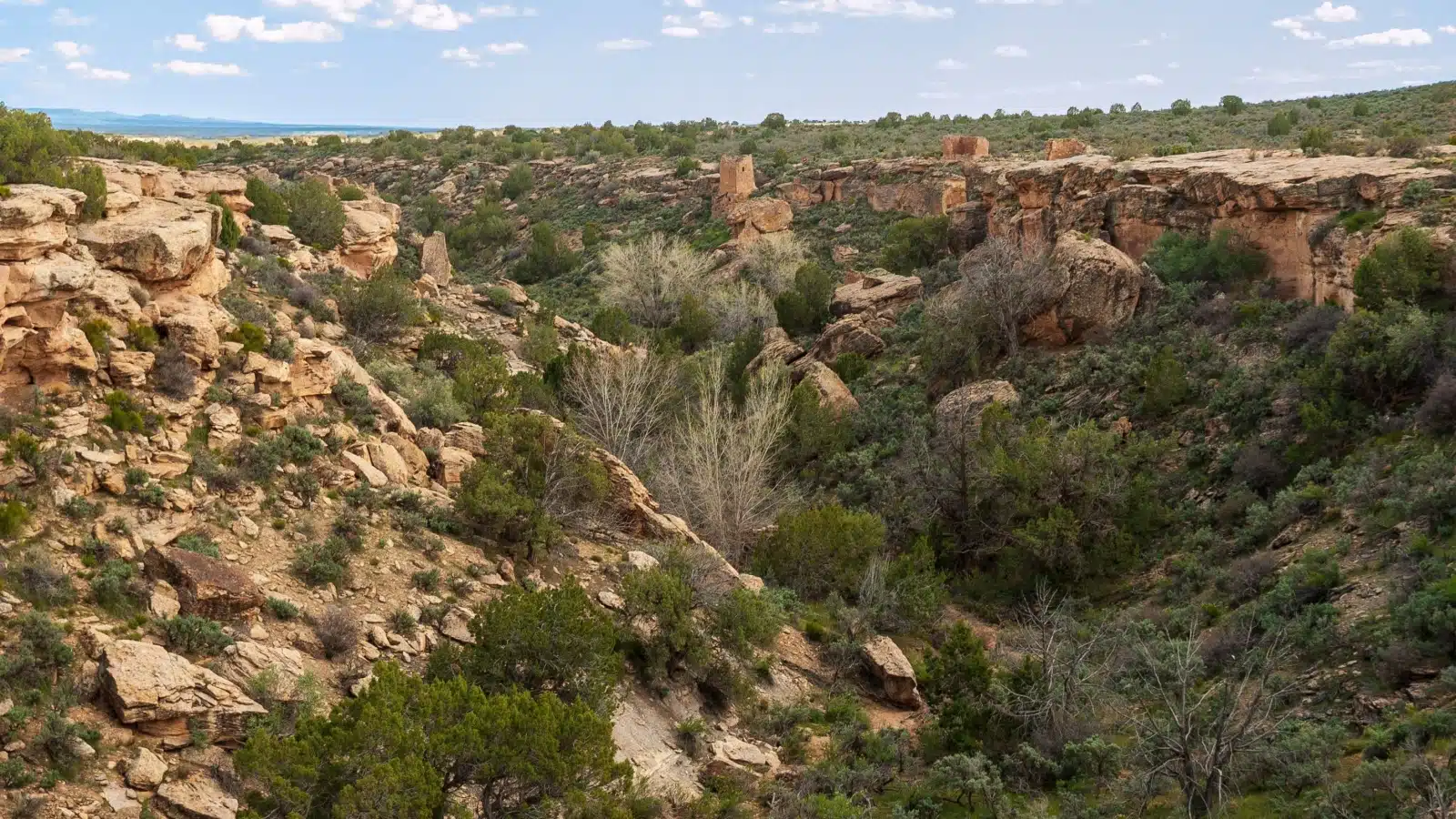 The rugged desert landscape encountered while visiting the Canyons of the Ancients in Utah.