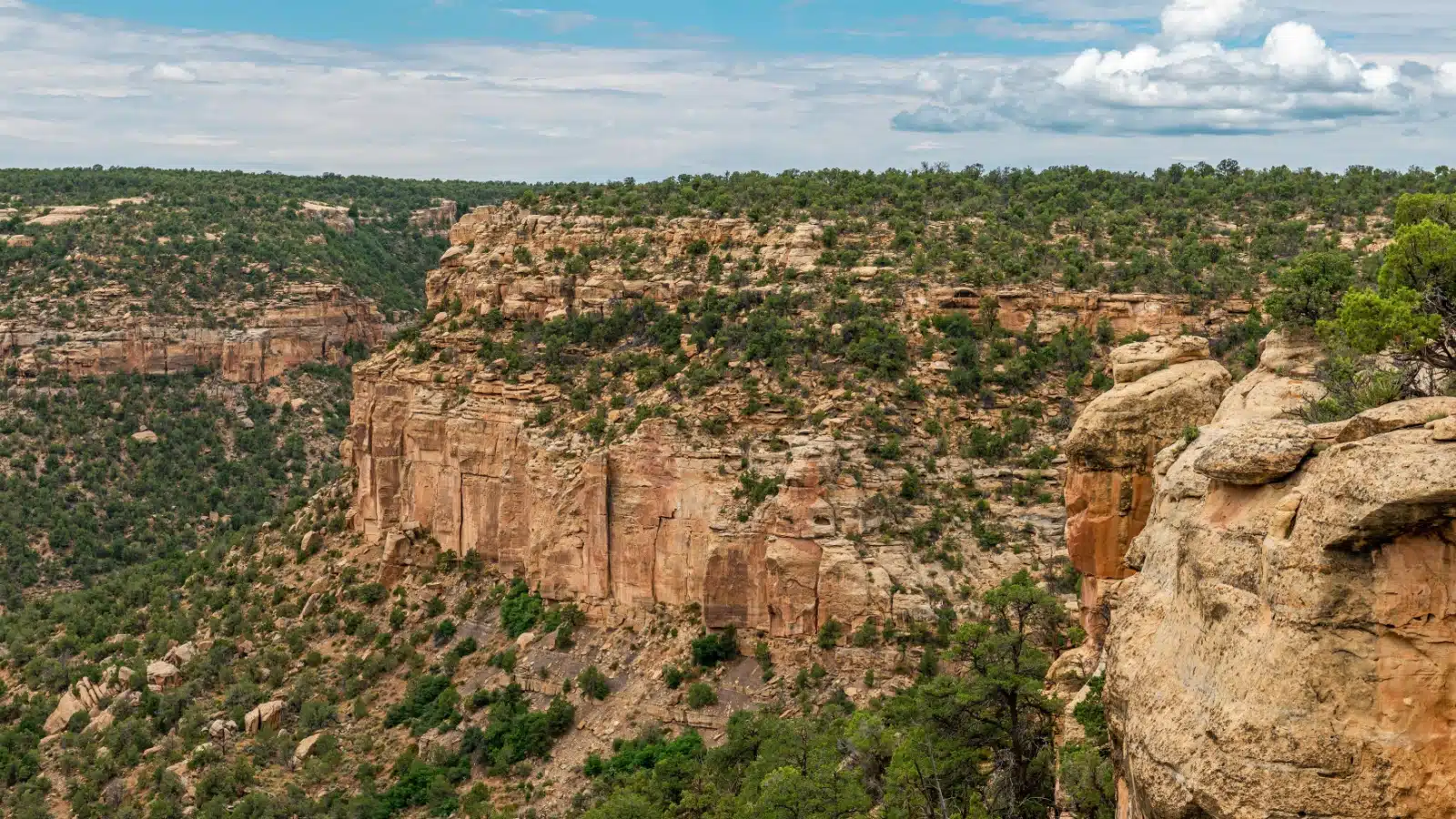 The landscape near Mesa Verde National Park in Colorado.
