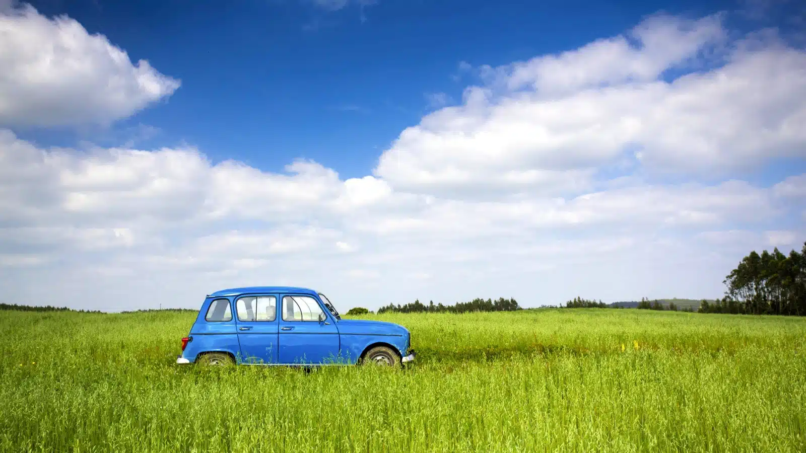 An old blue car in a green meadow.