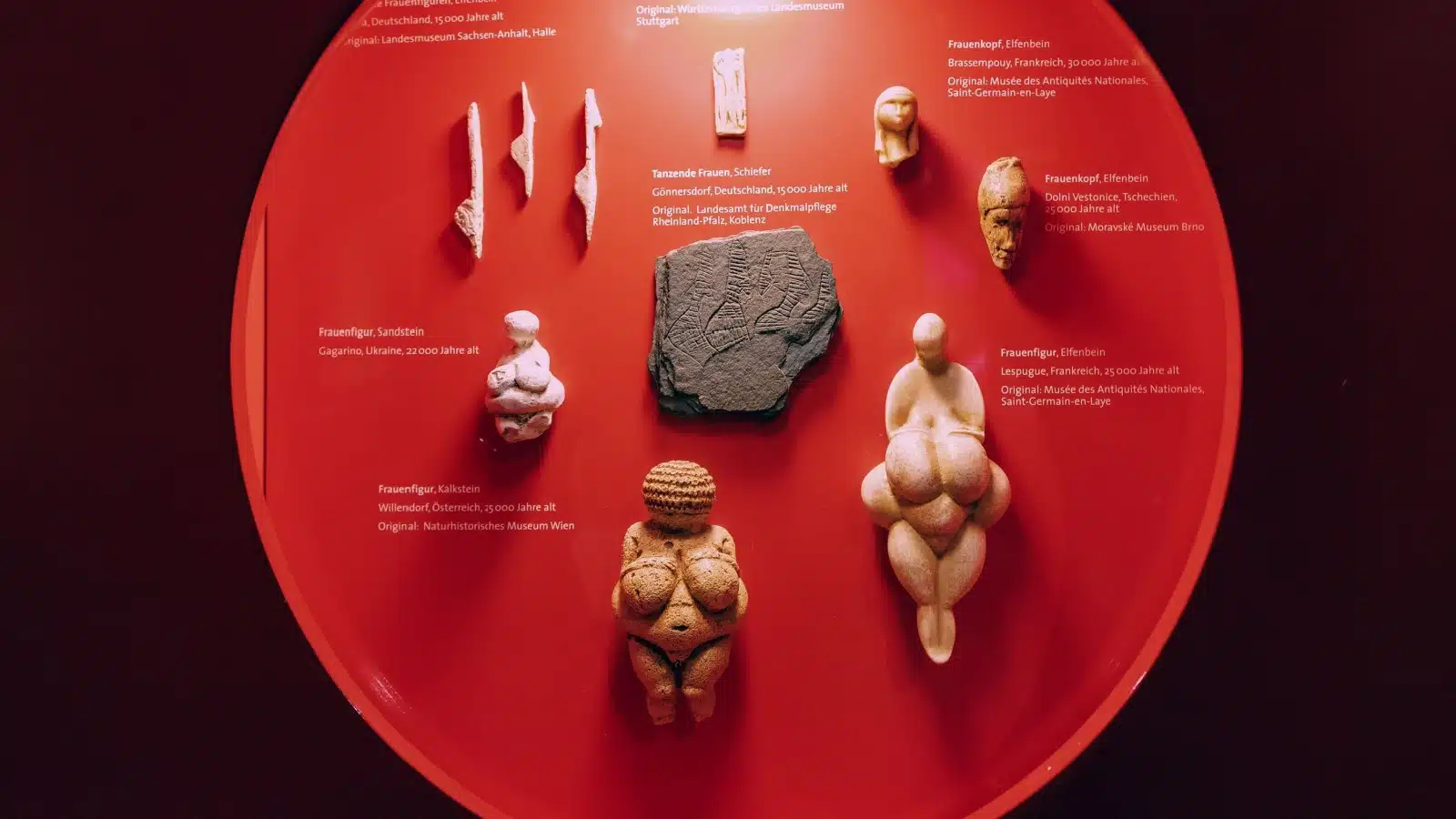 22 July 2022, Dusseldorf, Germany: Venus of Willendorf and other Paleolithic figurines of female deities carved from stone and bone on display at the museum.