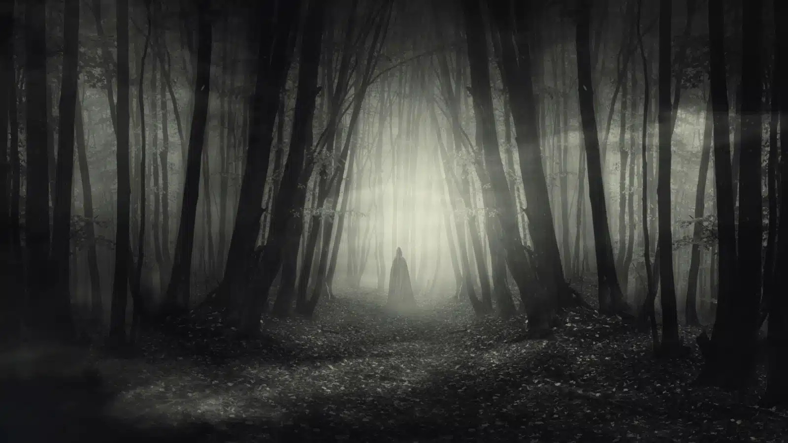 A mysterious figure in a creepy forest that could be a ghost.