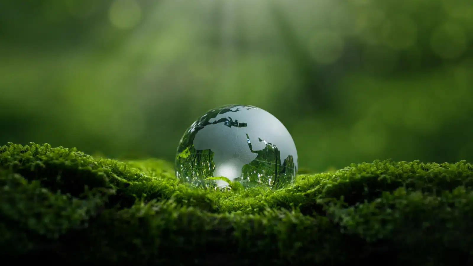 A crystal globe on moss to represent environmentalism.