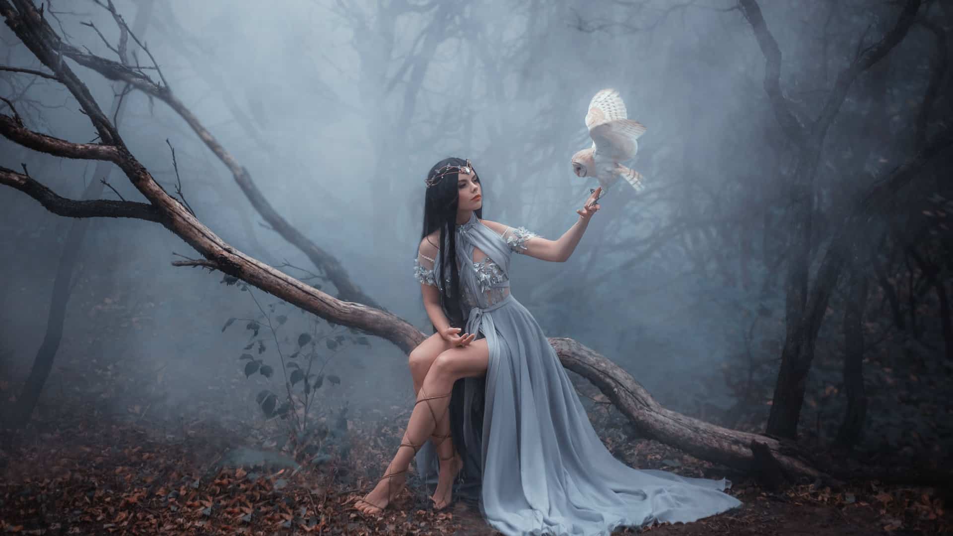 A witch dressed in a grey gown sits in a forest at dusk holding an owl.