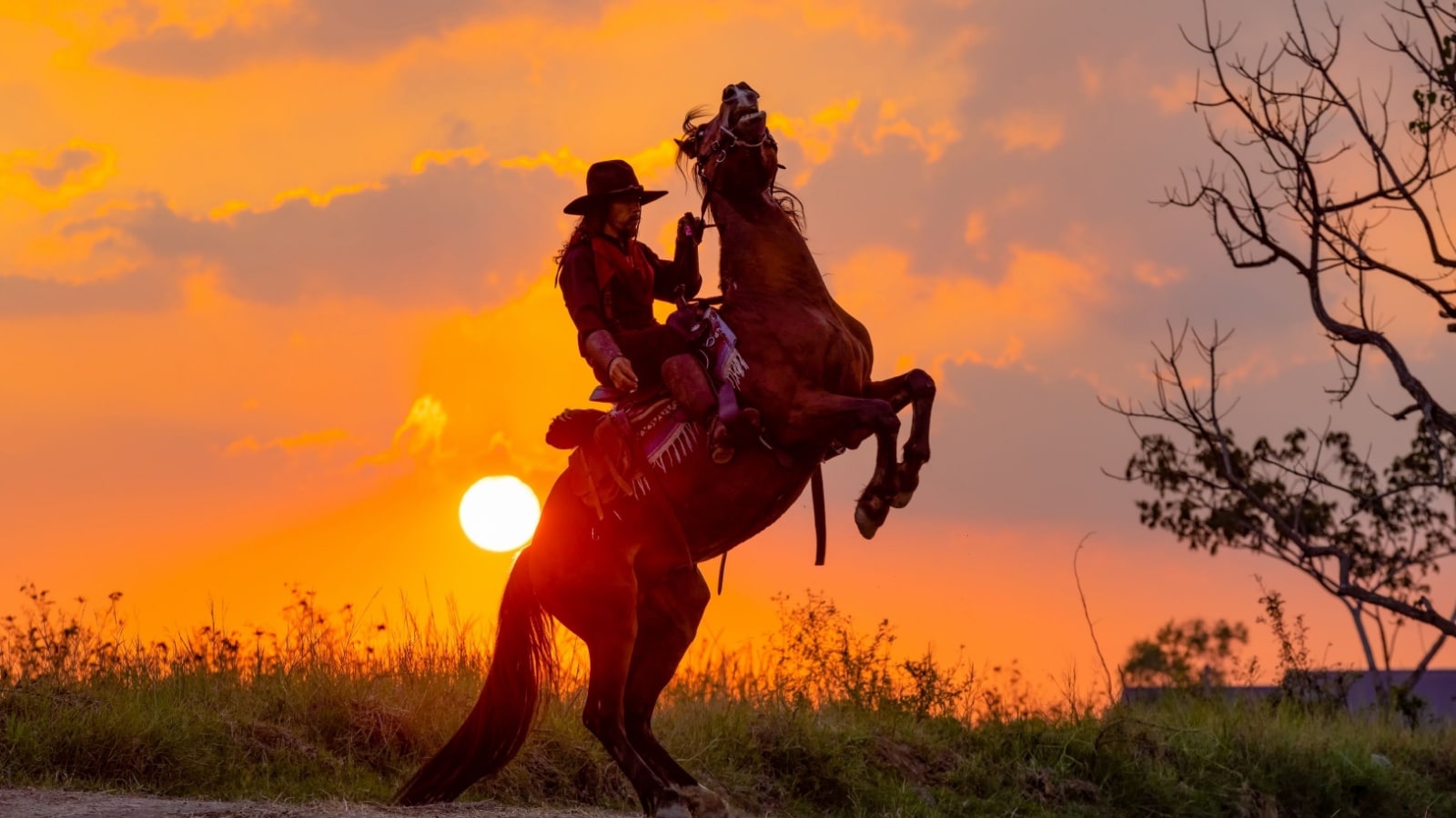 Idyllic image of an American cowboy on horseback to represent rugged individualism.