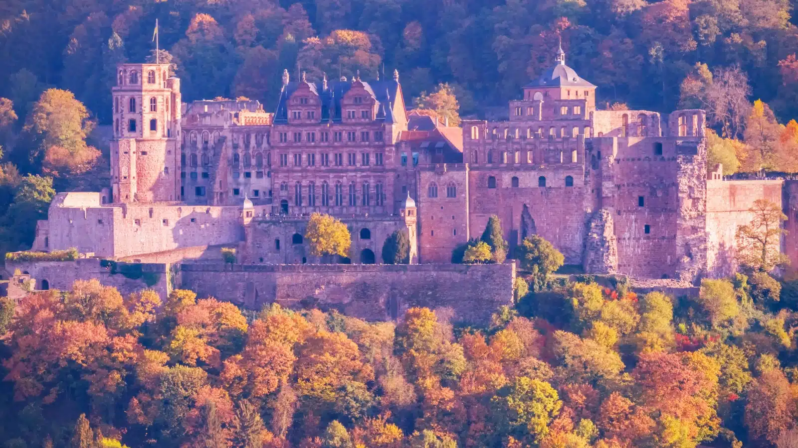 A view of Heidelberg Castle in the fall with a vintage looking filter.