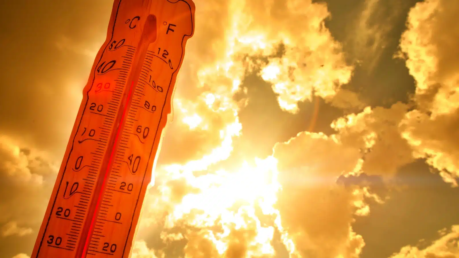 A thermometer melts in the hot sun.