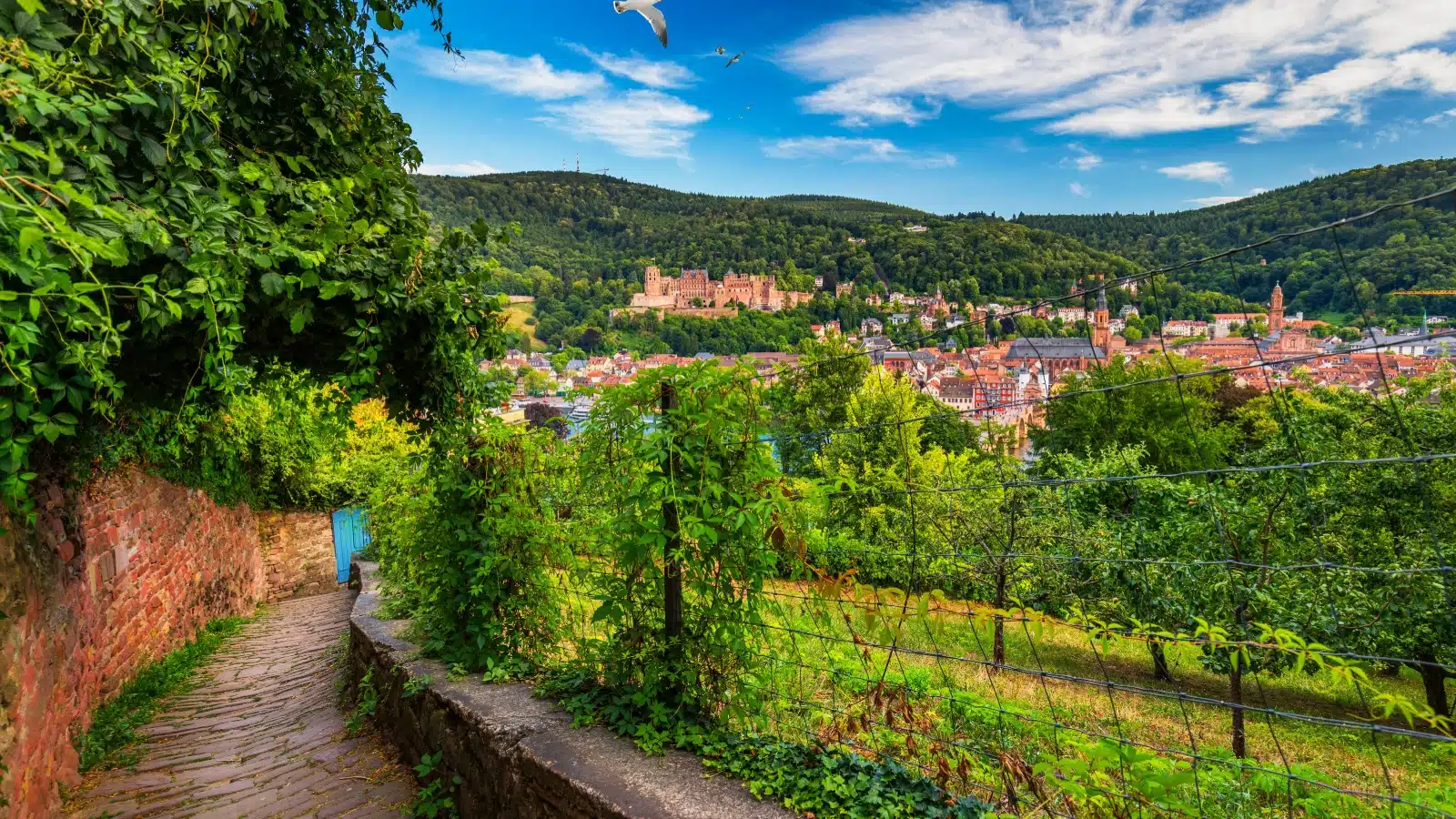 A stylized photo of the Philosopher's Way path in Heidelberg, Germany.