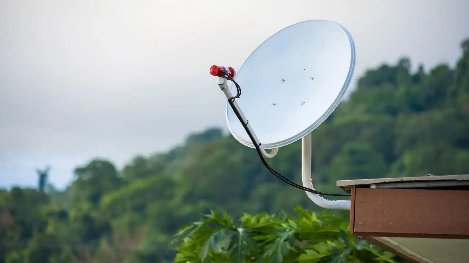 A satellite television dish on a roof.