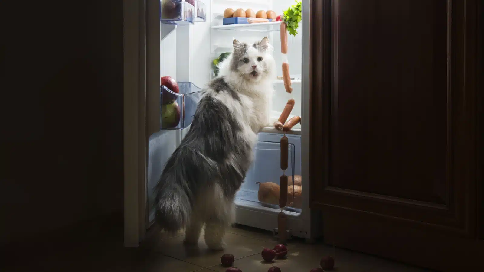 A bad cat steals from the refrigerator to represent the statement "I regret getting a cat."
