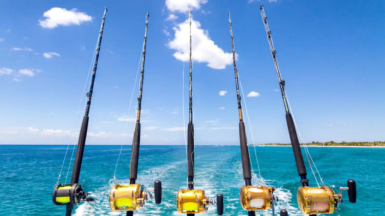 Five deep sea fishing rods lined up on a boat on a lovely clear day.