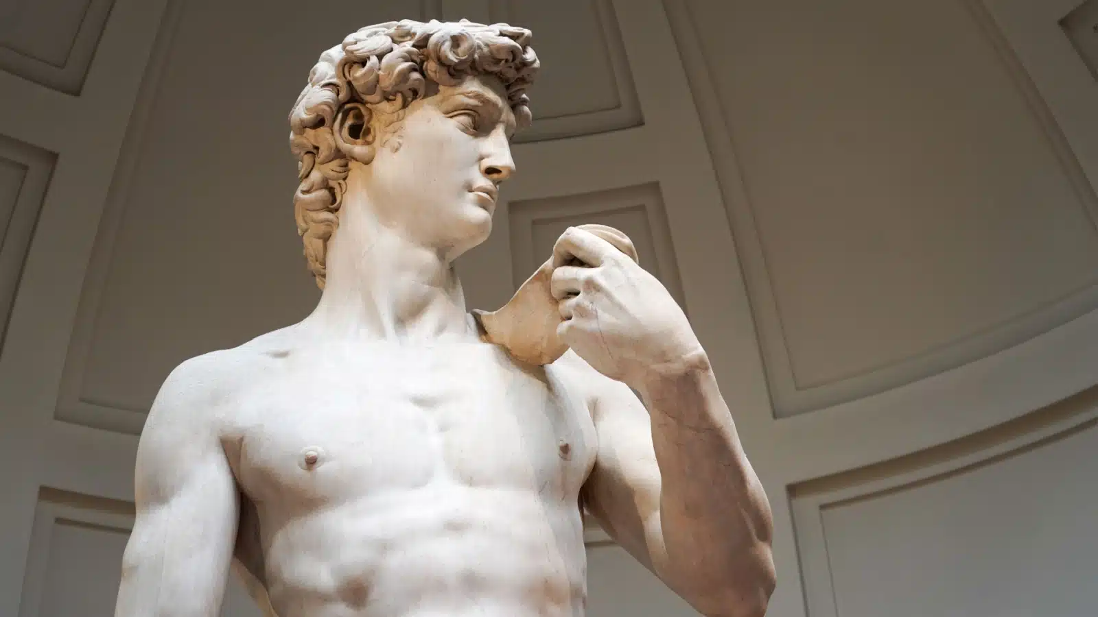 Close up of the Statue of David from his torso to his head. 