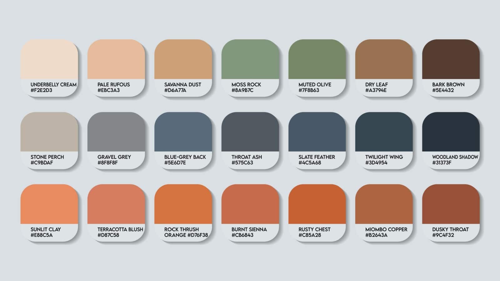 A variety of sample paint colors, showing the different values of the colors.