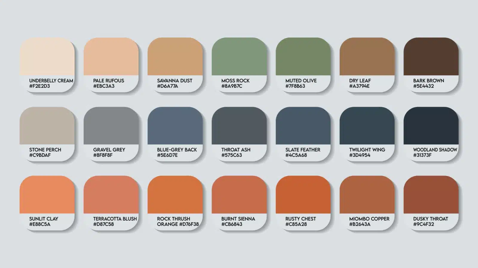 A variety of sample paint colors, showing the different values of the colors.