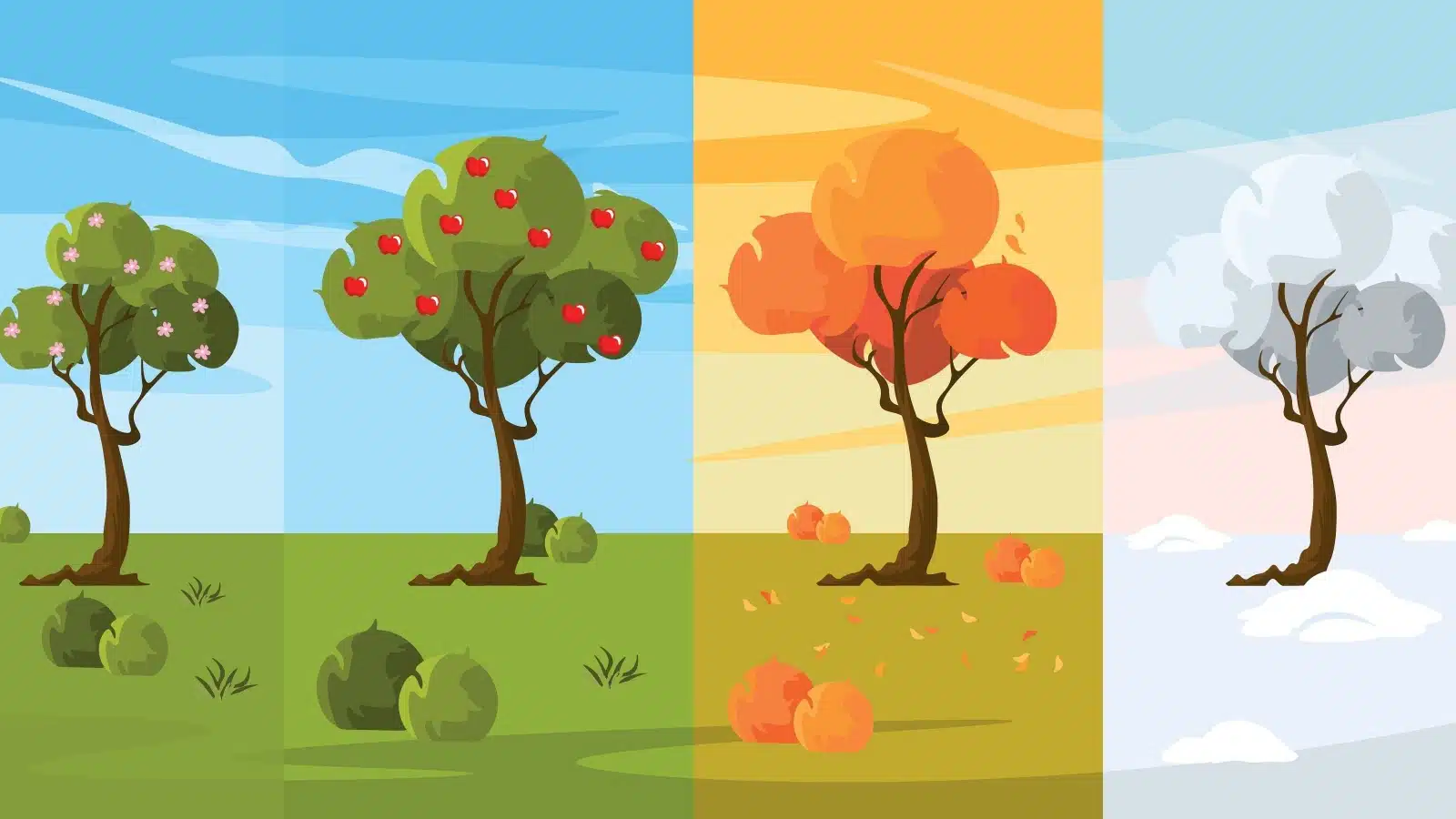 Illustration of changing seasons. A tree in four panels, spring, summer, fall, and winter.