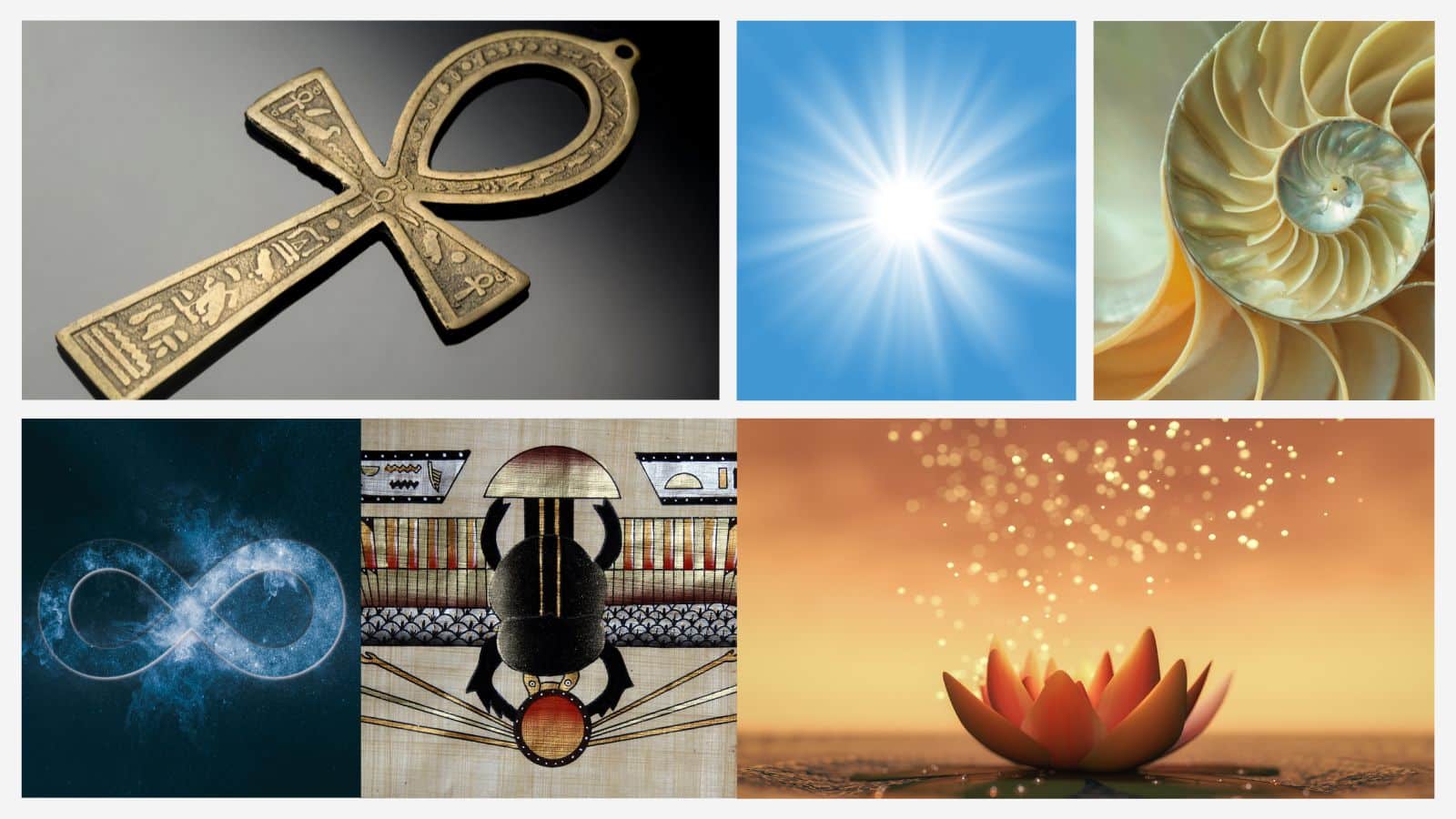 17 Symbols of Life and How They Connect Us to the Human Condition ...