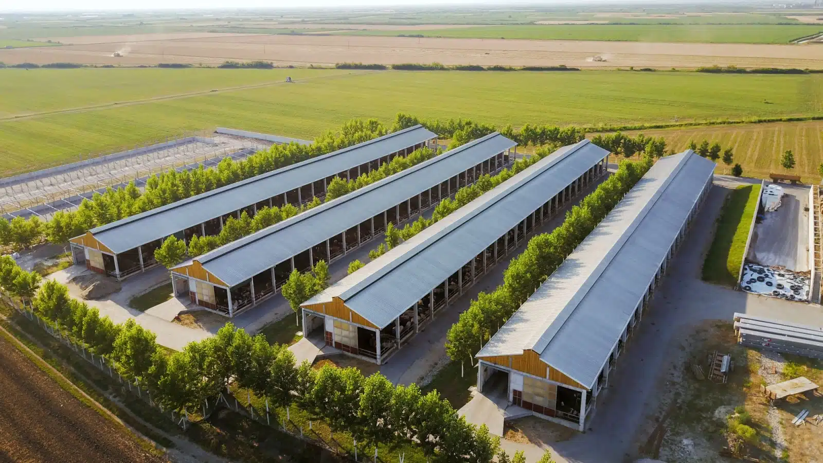 Drone image of a factory farm.