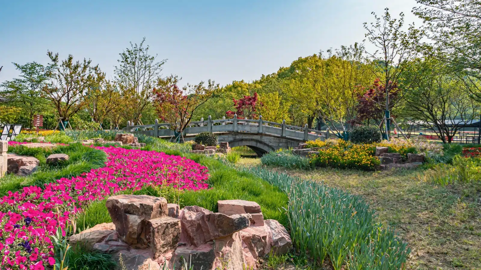 A pretty botanical garden with flowers blooming.