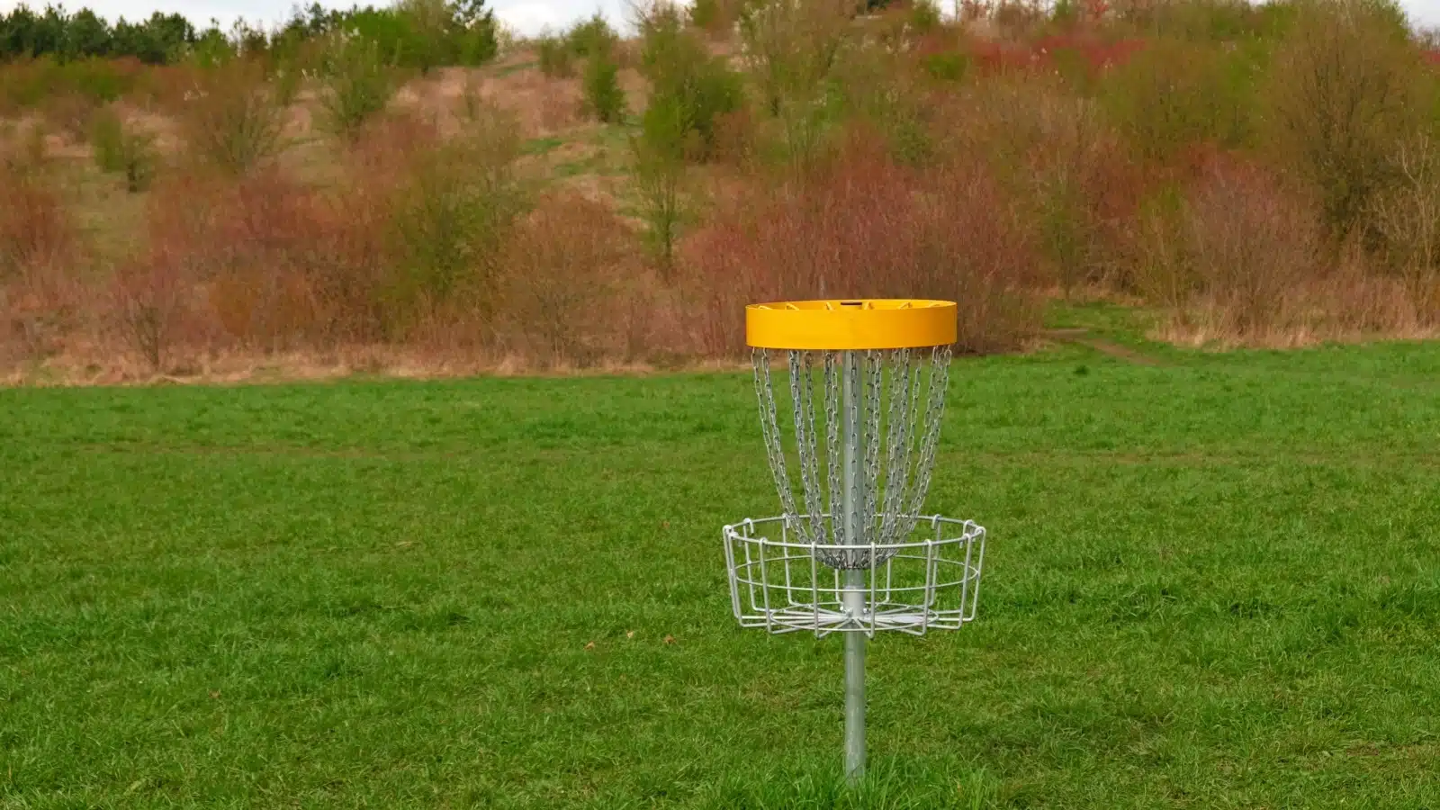 An empty disc golf basket on a course.