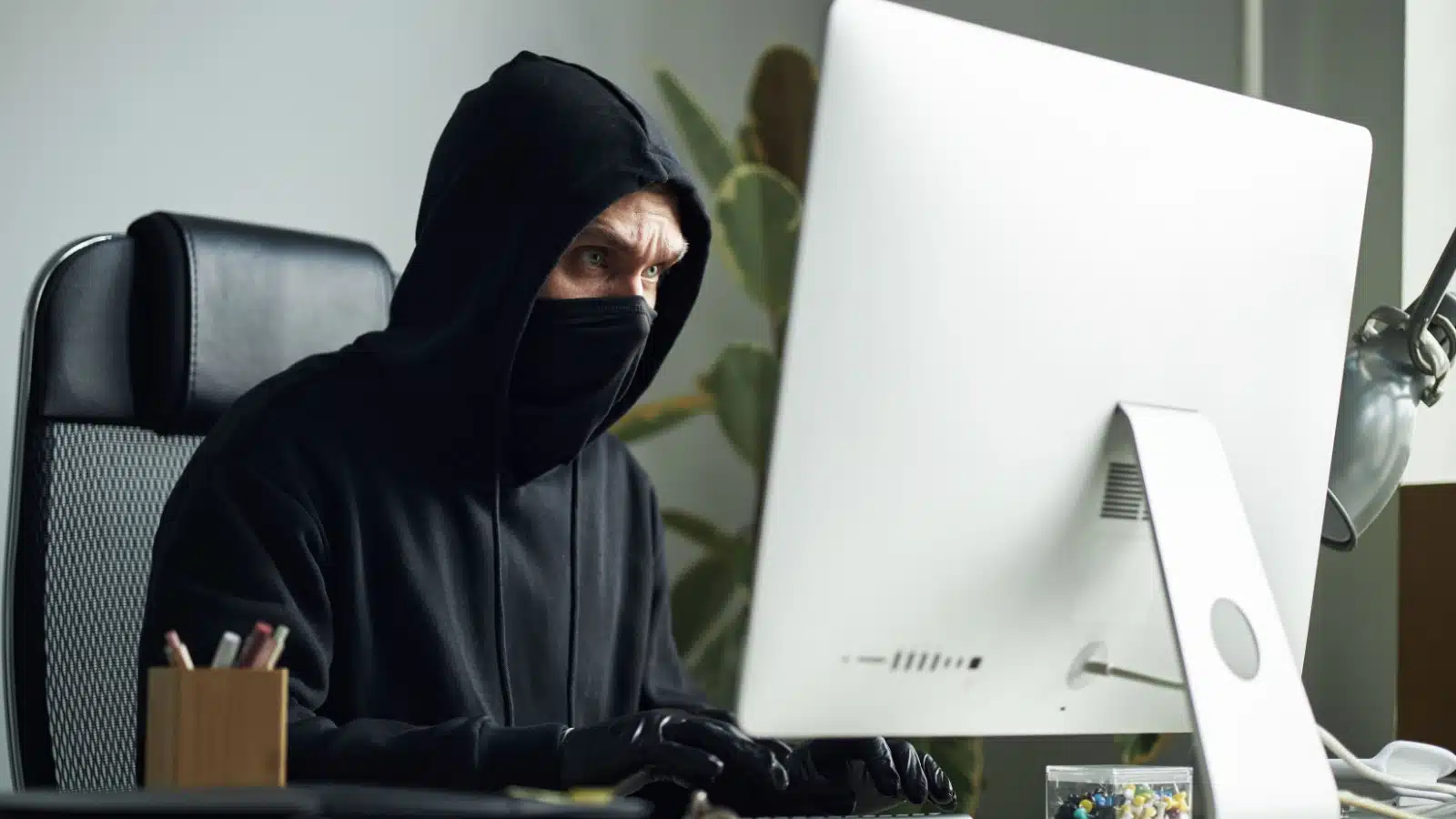 A hacker sits behind a computer stealing information.