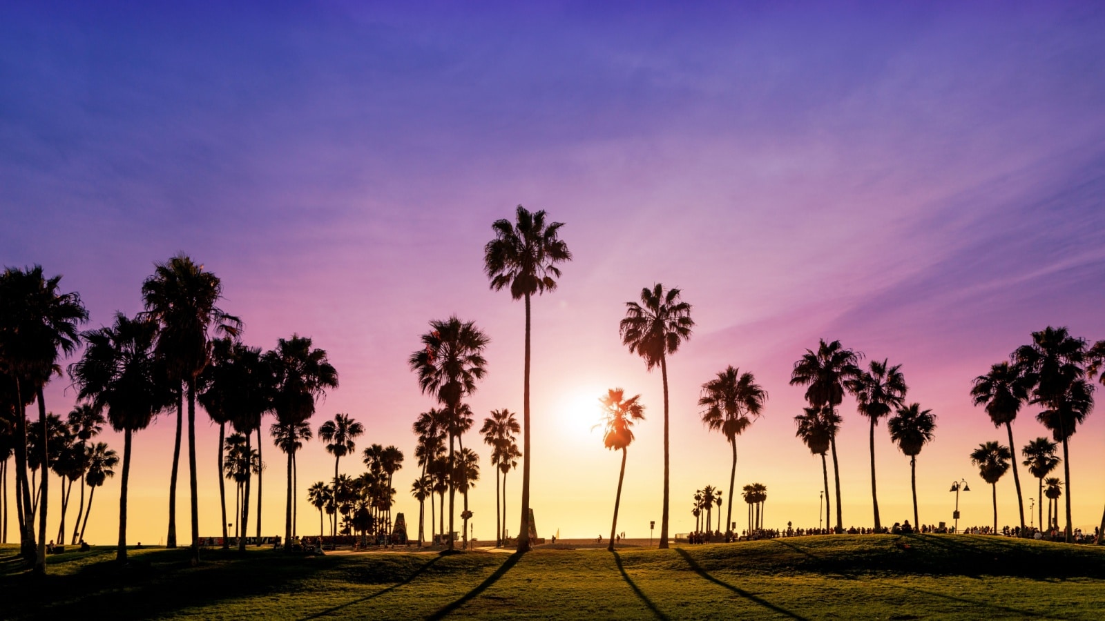 Palm trees at sunset represent all the best things to do in California.