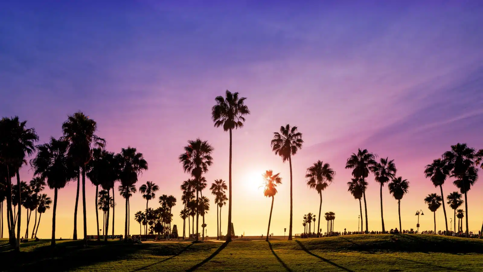 Palm trees at sunset represent all the best things to do in California.