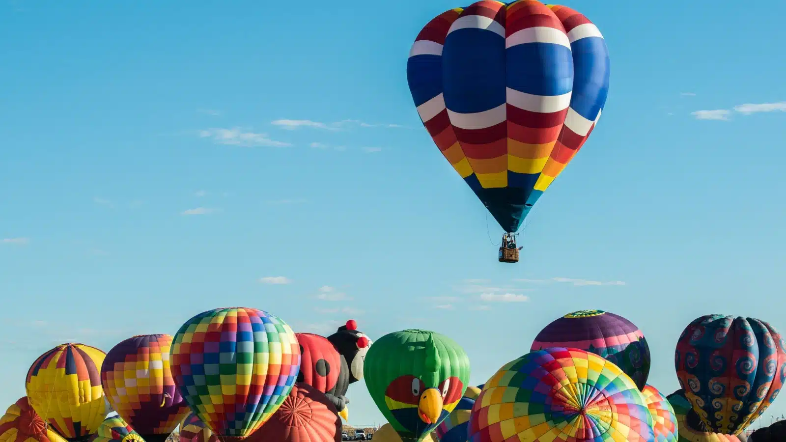 Hot air balloons at the 2021 hot air balloon festival in New Mexico, one of the top activities to add to your fall bucket list.