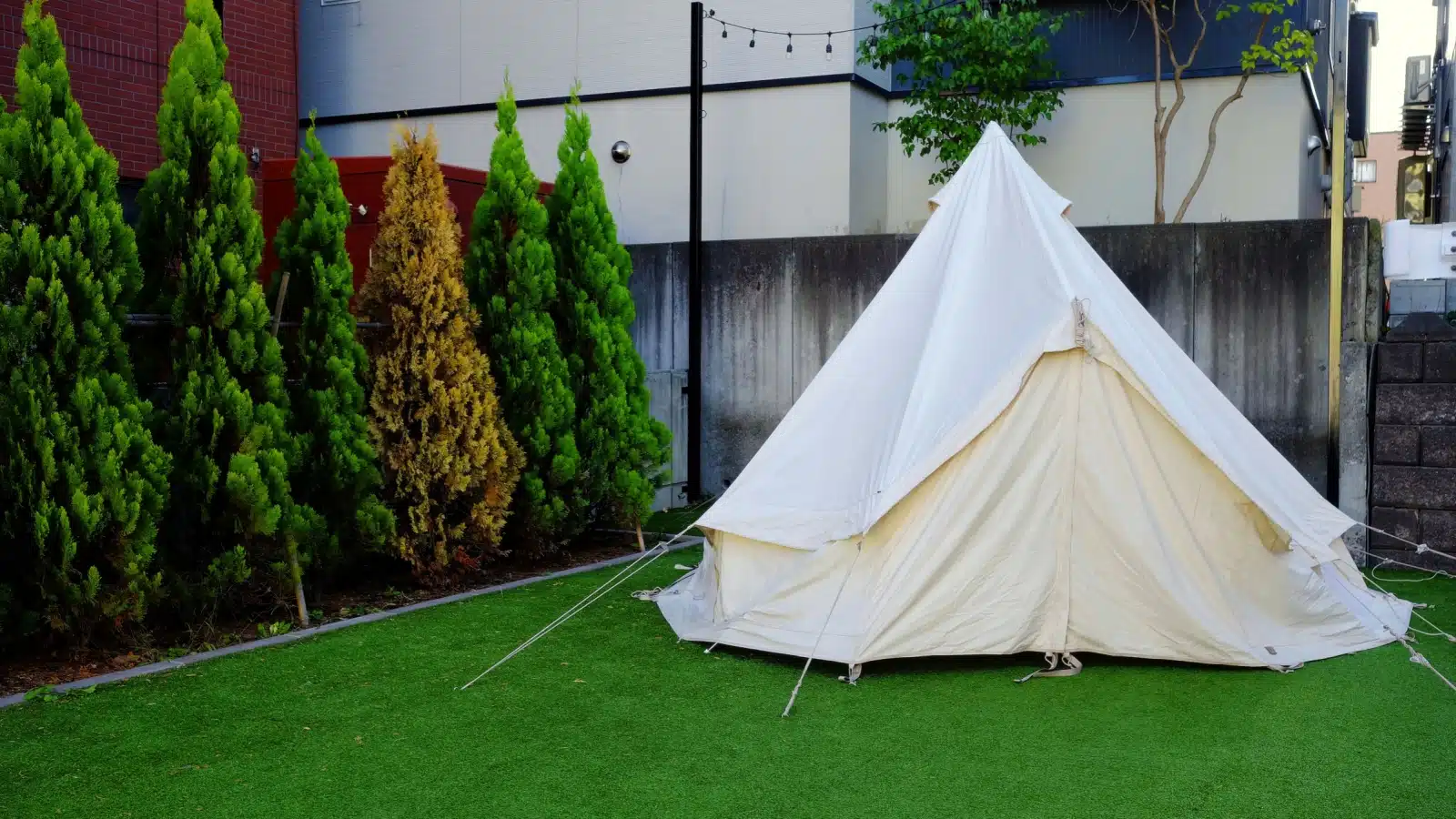 A white tent set up in the backyard.