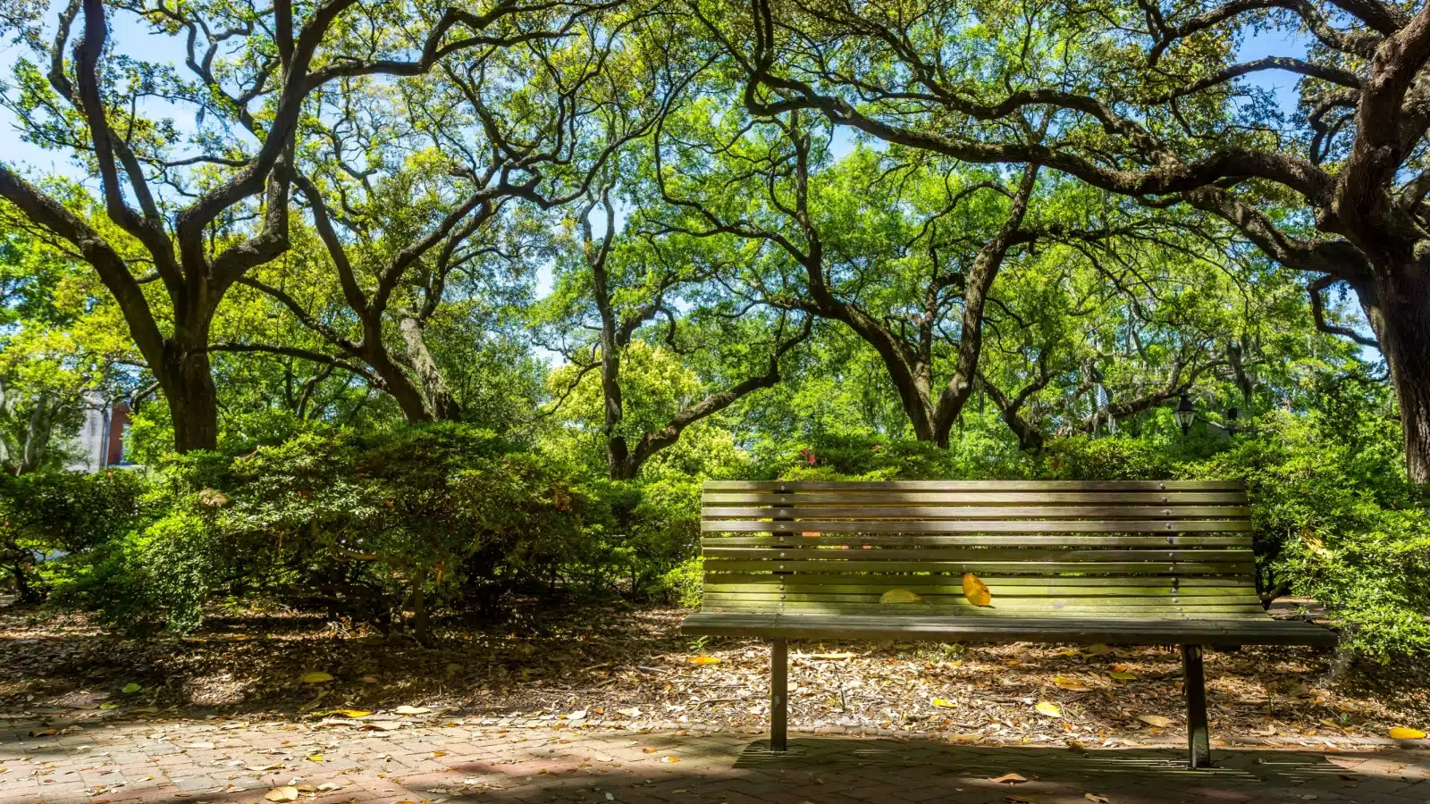 A park bench in the shade of gorgeous oak trees in Pulaski Square, one of the charming squares in Savannah.