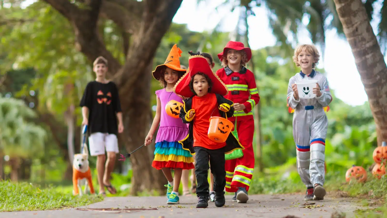 Children on the sidewalk trick or treating on Halloween.