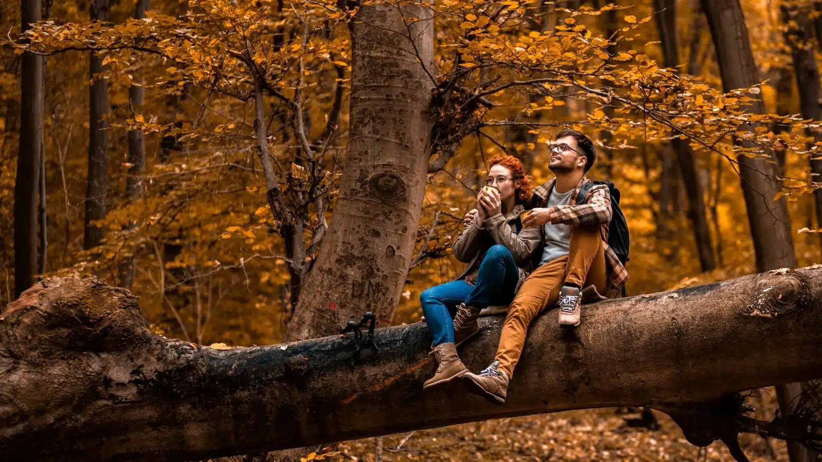 A couple rests on a fallen tree during a hike through the forest in autumn.