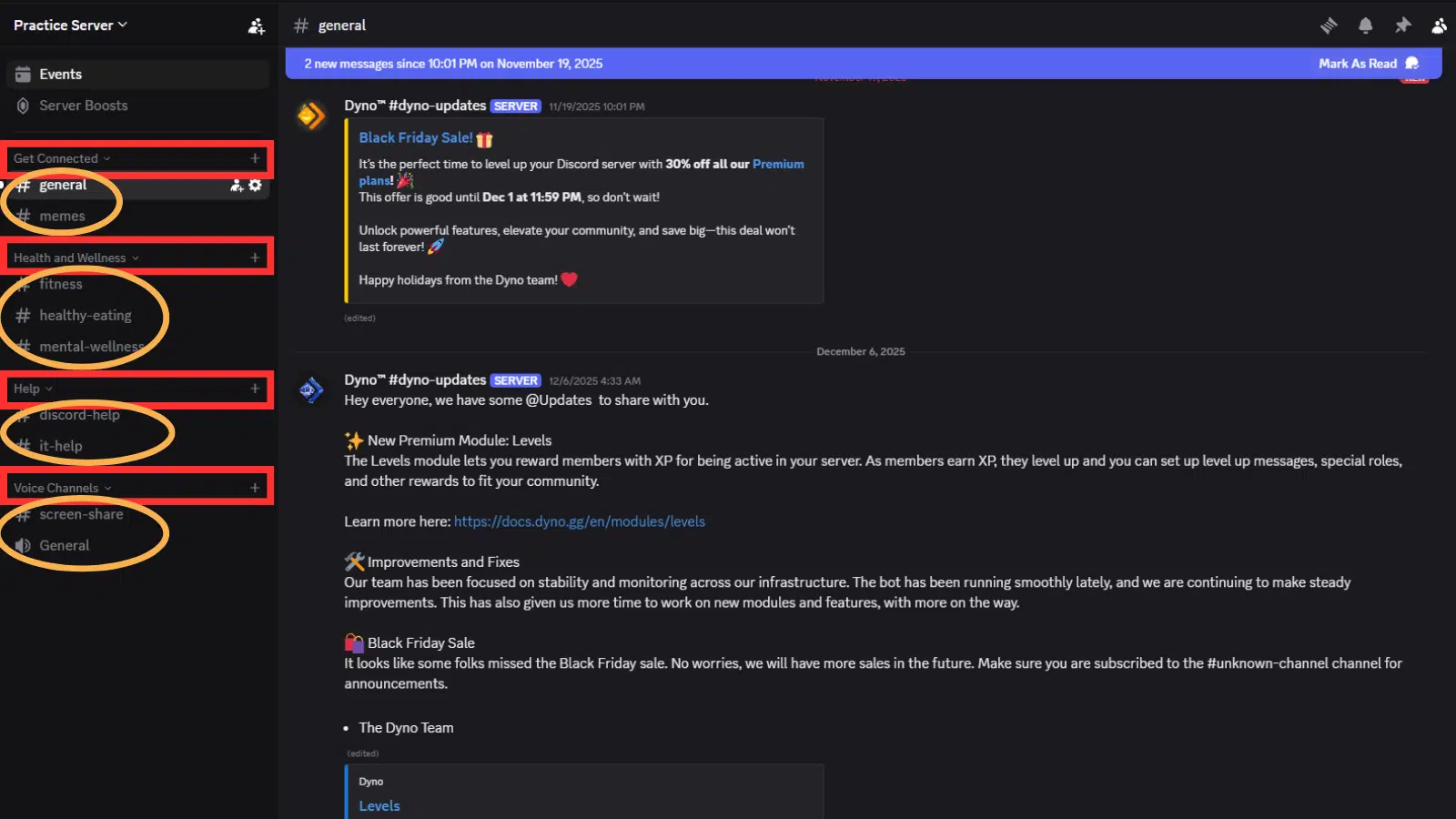 A screenshot of a Discord server. The categories are surrounded by a red square, while the channels under the categories are circled in orange.