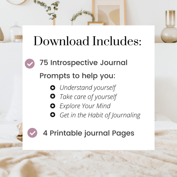 Image showing what you get with the introspective and self discovery journal prompts