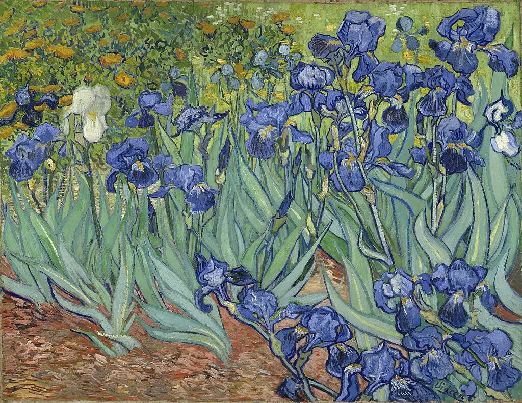 Irises by Van Gogh.