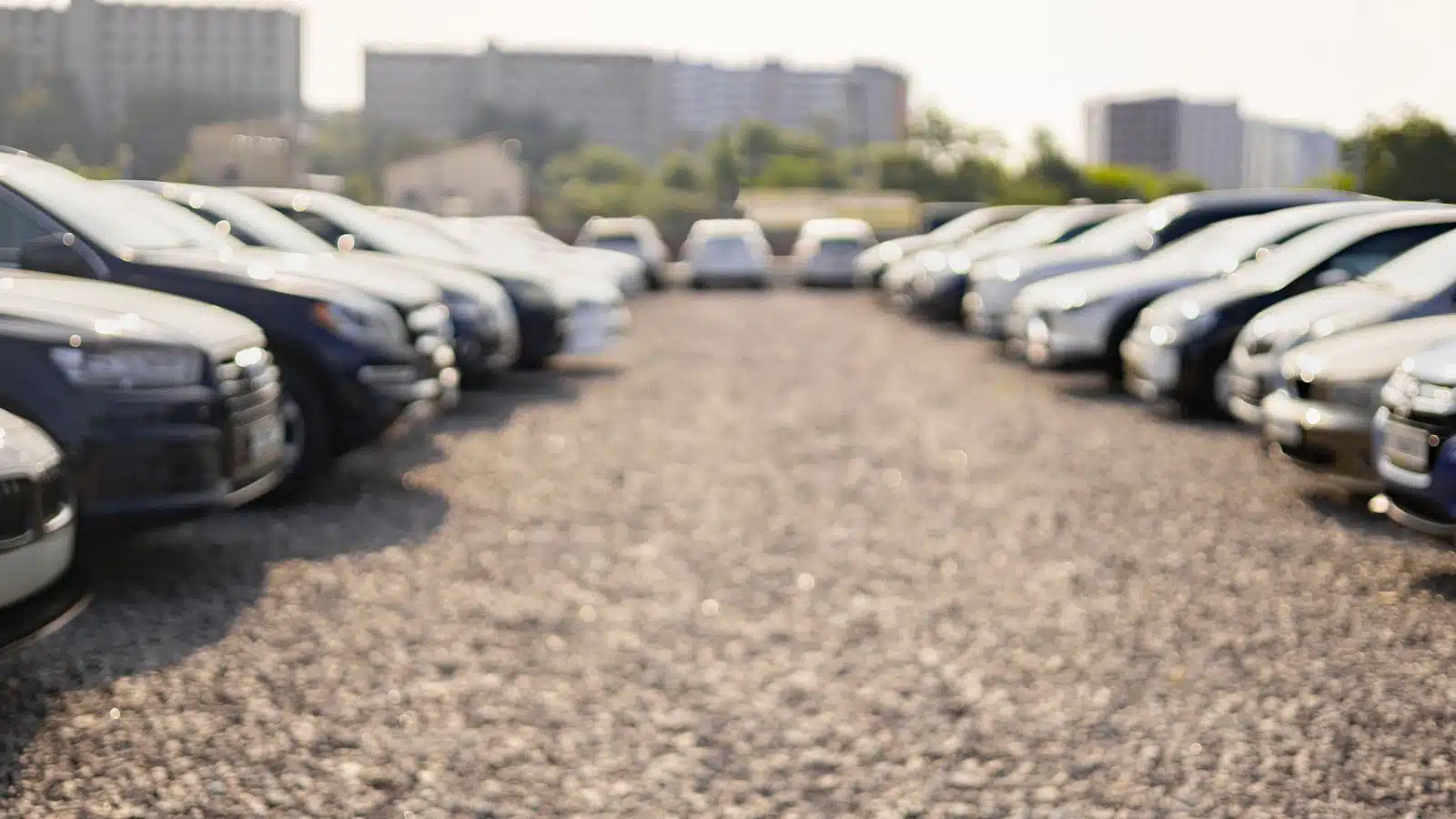 Rows of cars in an outdoor parking lot.