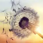 51 Inspirational Quotes About Change Challenging You To Embrace It