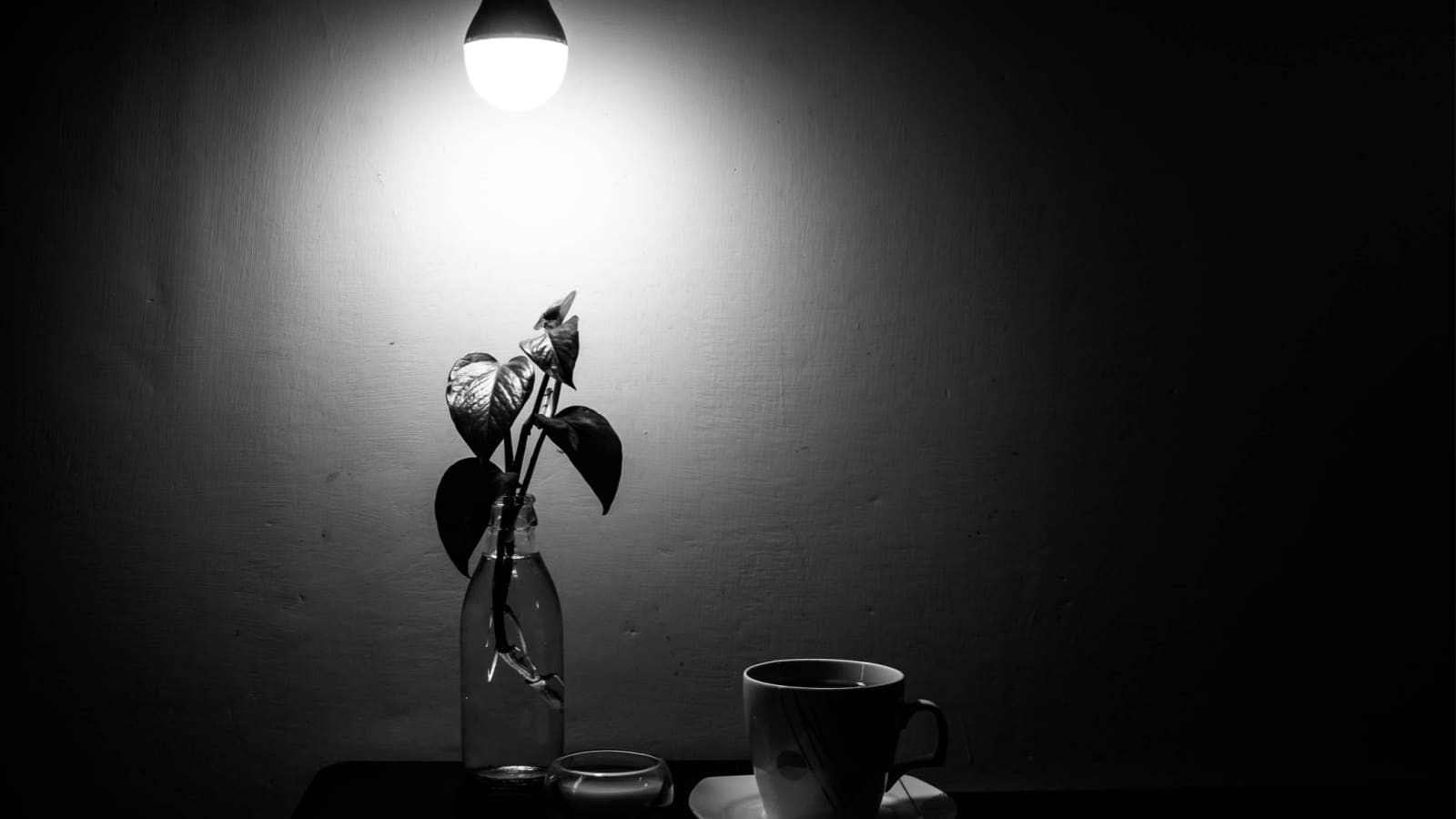 A black & white image of a still life scene set up under a light bulb to represent how crucial light and color are to still life painting. 